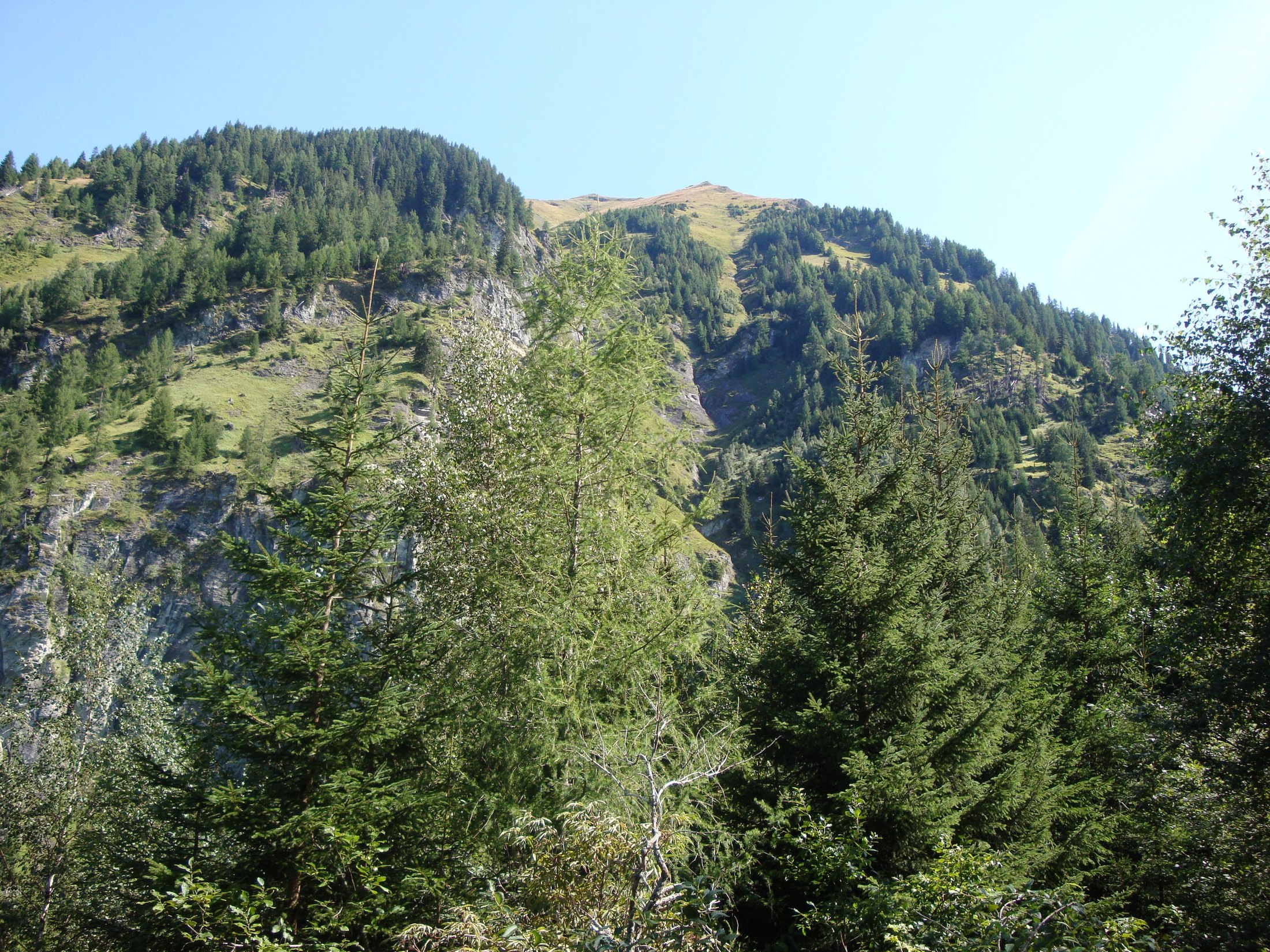 Gamskarkogel 2015 – fotografie 1