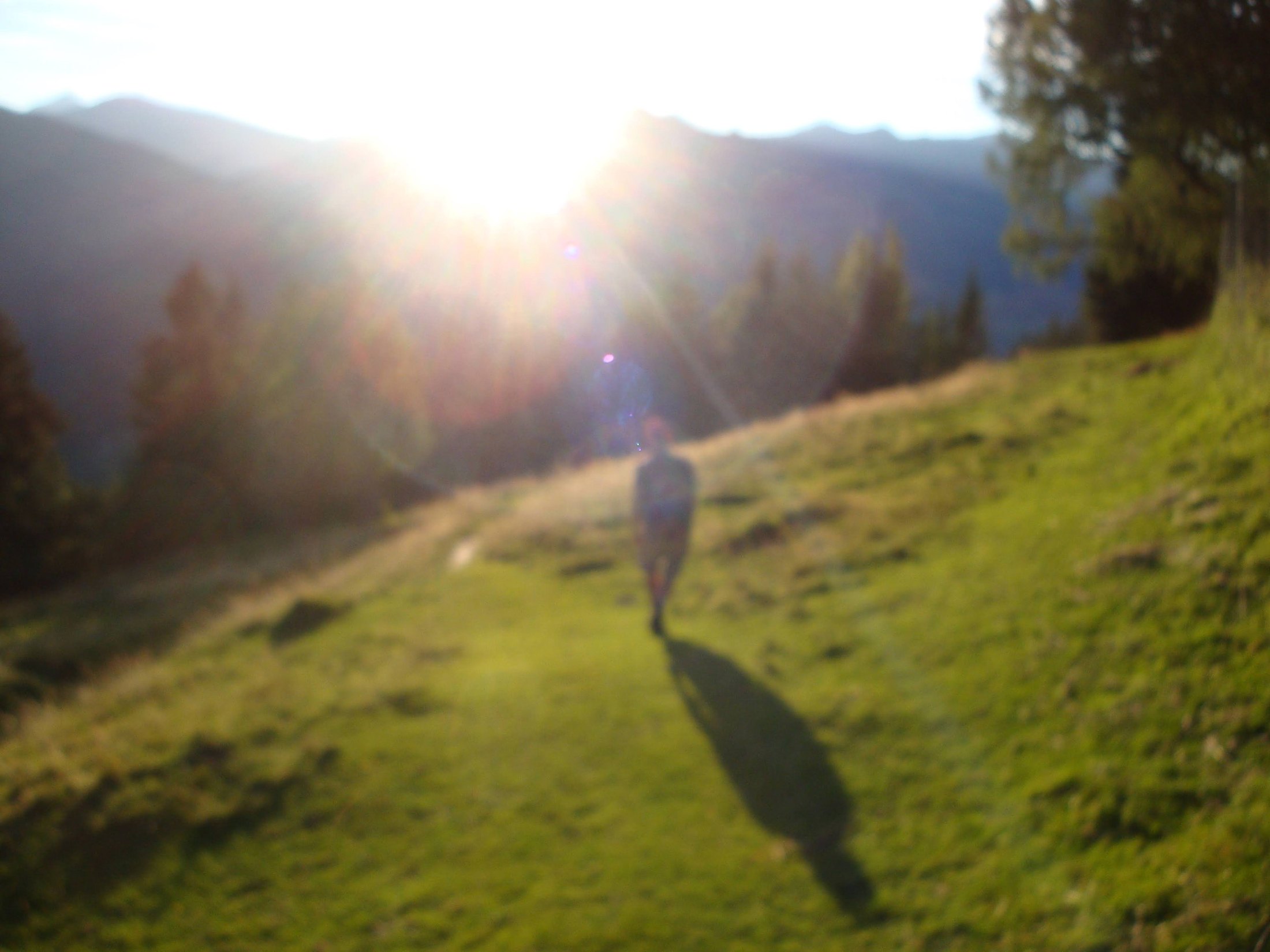 Gamskarkogel 2015 – fotografie 20