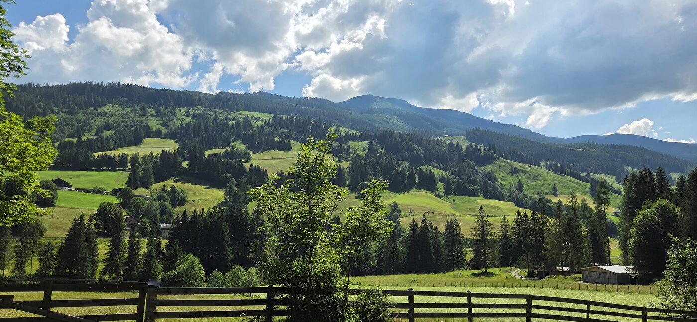 Bucheben – Wörth – fotografie 1