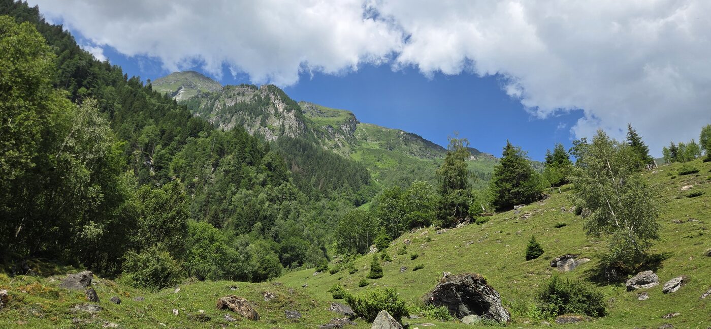 Bucheben – Wörth – fotografie 2