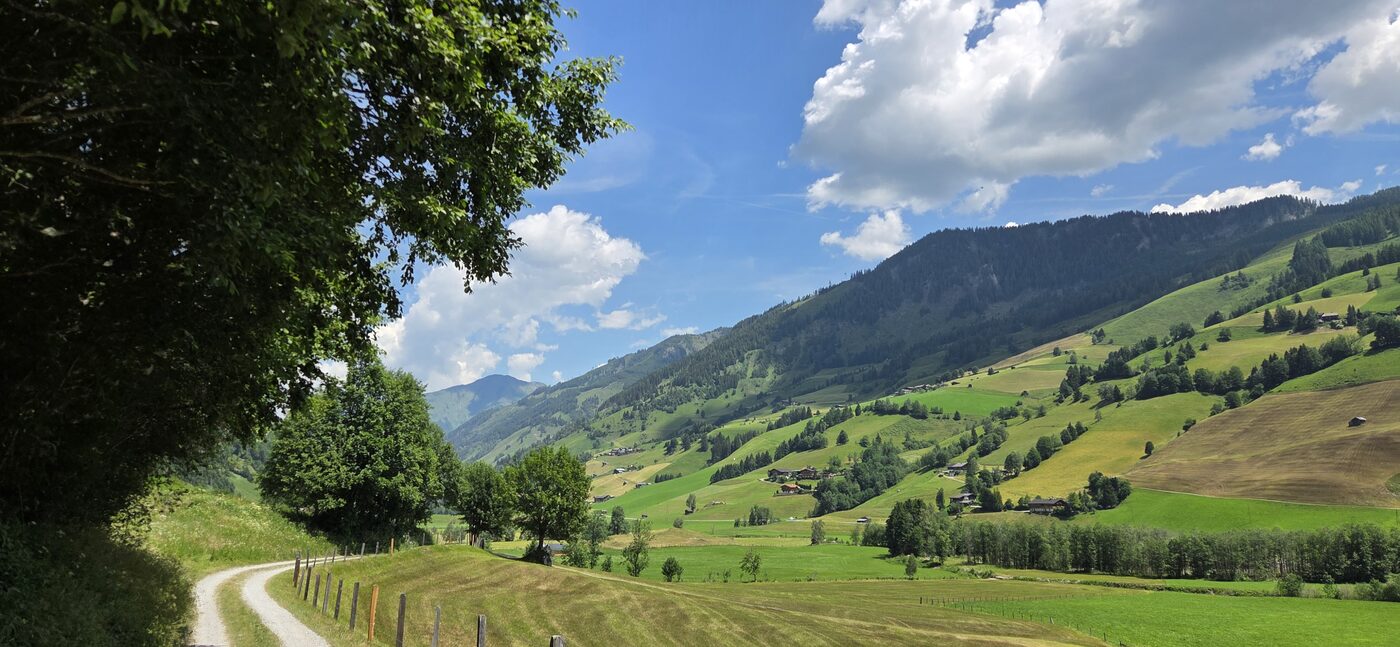 Bucheben – Wörth – fotografie 5
