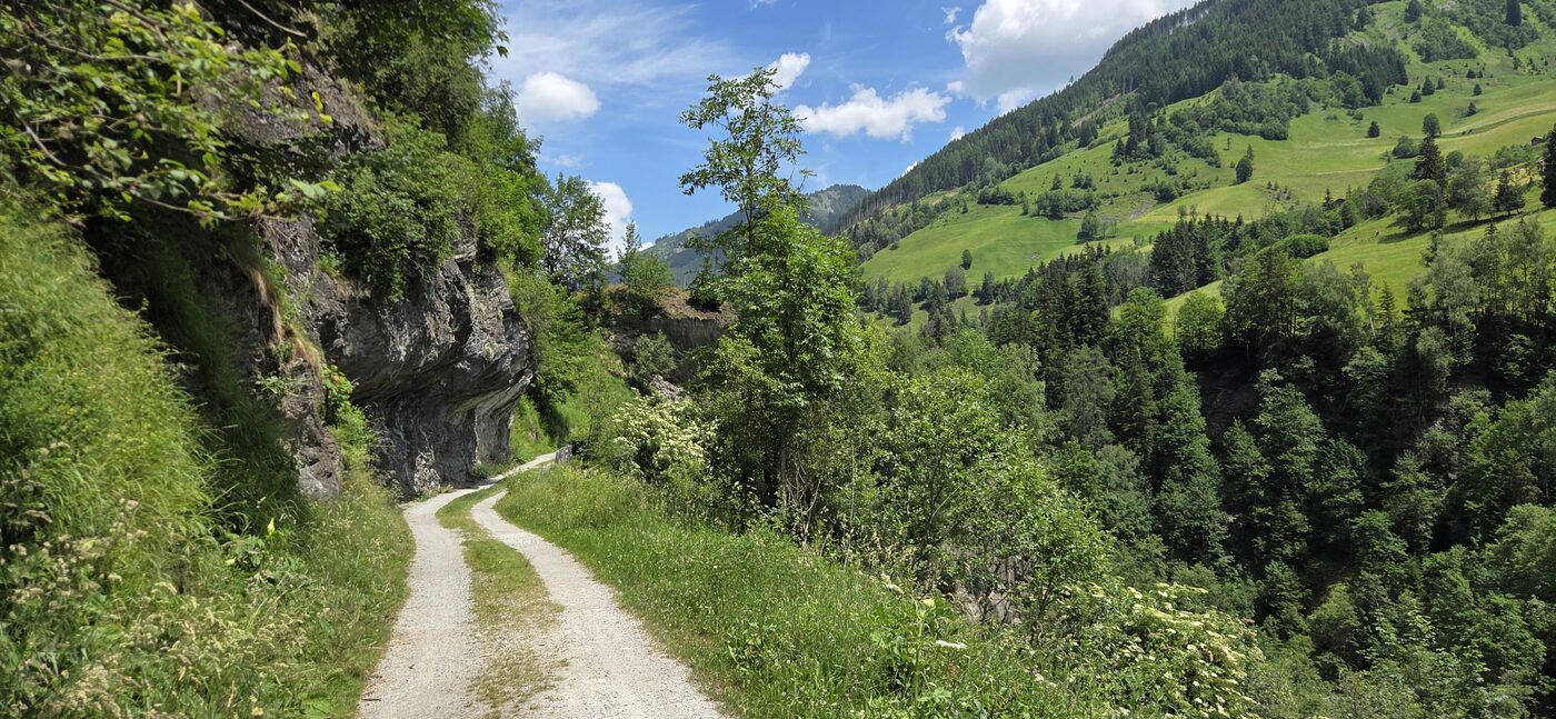 Bucheben – Wörth – fotografie 8