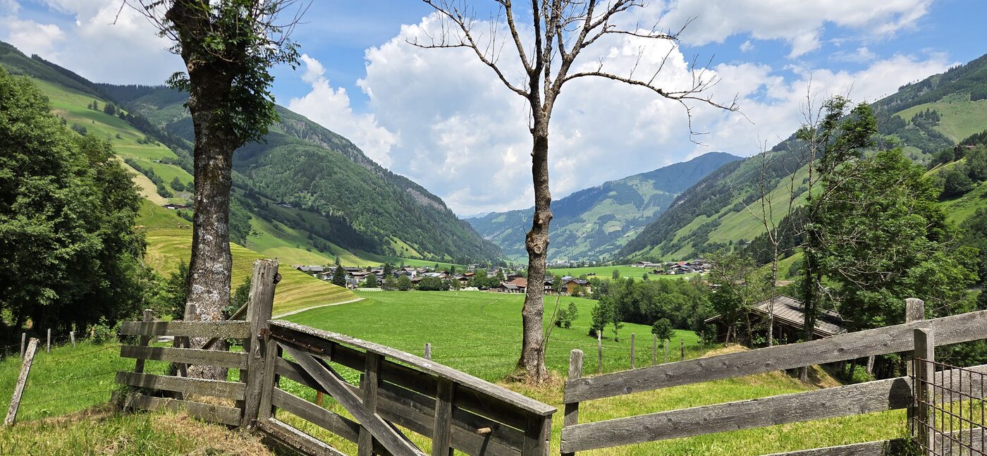 Bucheben – Wörth – fotografie 9